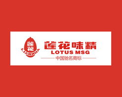 福來品牌營銷策劃公司 2013年全案營銷策劃回顧與展望